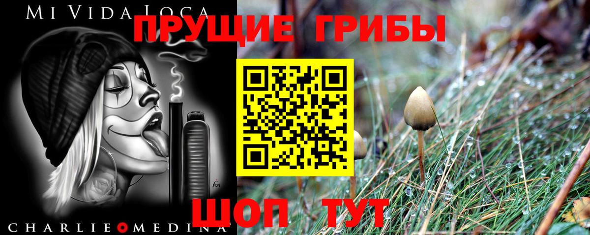 Галлюциногенные грибы прущие грибы Кубинка