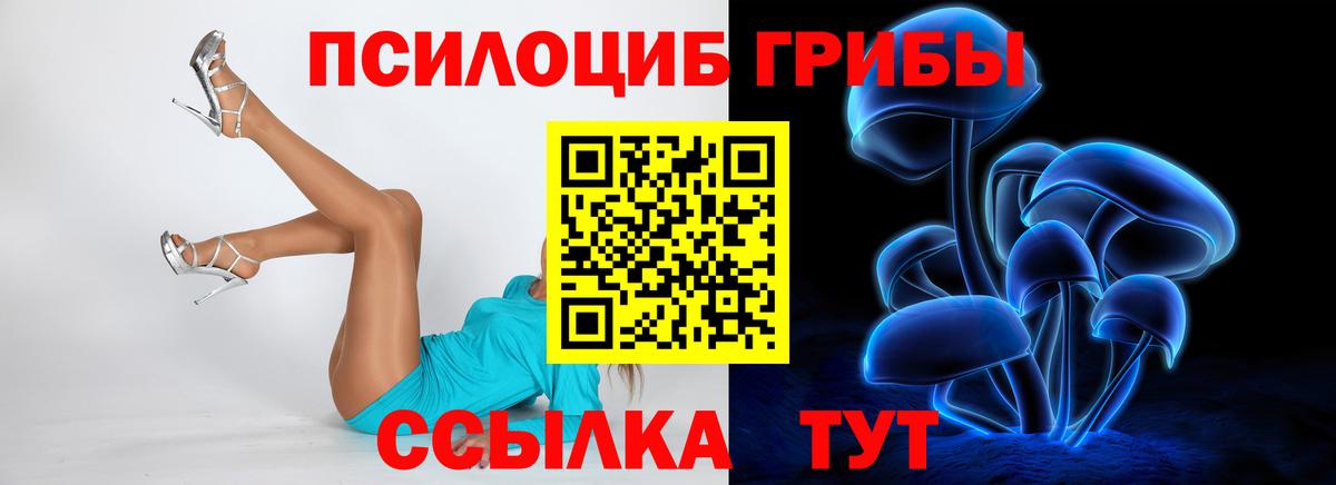 Кубинка  Псилоцибиновые грибы мухоморы  Вход с VPN 